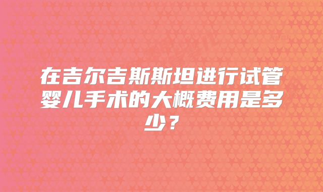 在吉尔吉斯斯坦进行试管婴儿手术的大概费用是多少？