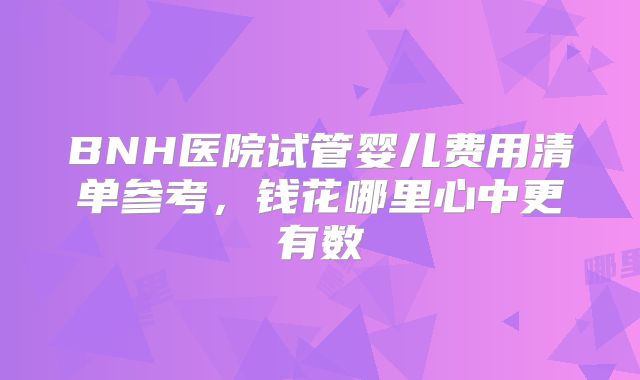BNH医院试管婴儿费用清单参考，钱花哪里心中更有数