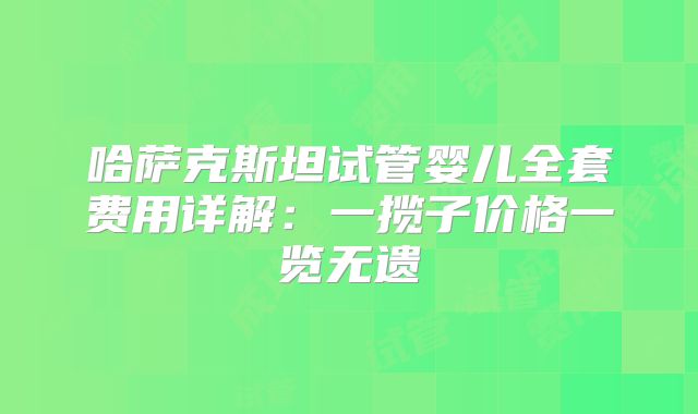 哈萨克斯坦试管婴儿全套费用详解:一揽子价格一览无遗