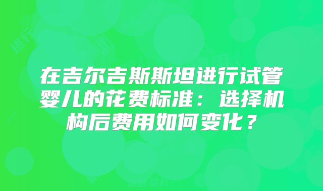 在吉尔吉斯斯坦进行试管婴儿的花费标准：选择机构后费用如何变化？
