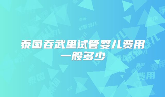 泰国吞武里试管婴儿费用一般多少