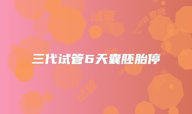 三代试管6天囊胚胎停