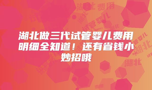 湖北做三代试管婴儿费用明细全知道!还有省钱小妙招哦
