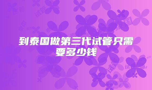 到泰国做第三代试管只需要多少钱