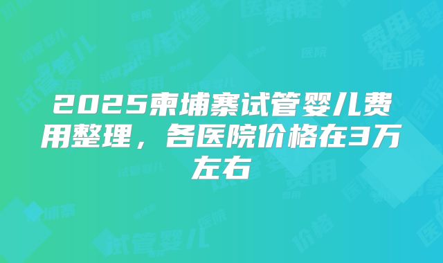 2025柬埔寨试管婴儿费用整理，各医院价格在3万左右