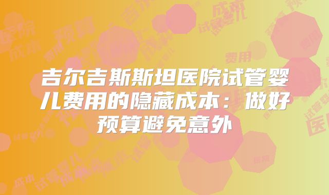 吉尔吉斯斯坦医院试管婴儿费用的隐藏成本：做好预算避免意外