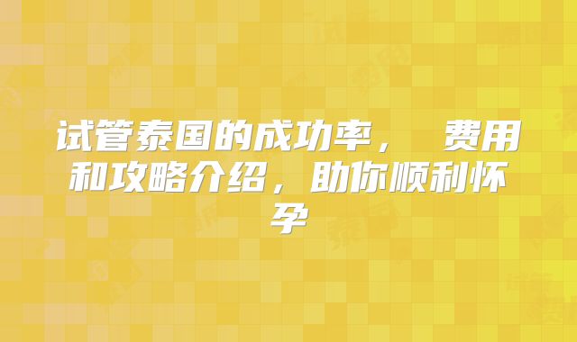 试管泰国的成功率， 费用和攻略介绍，助你顺利怀孕