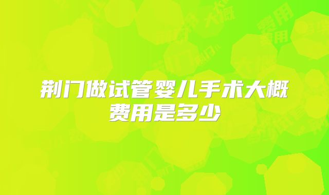 荆门做试管婴儿手术大概费用是多少