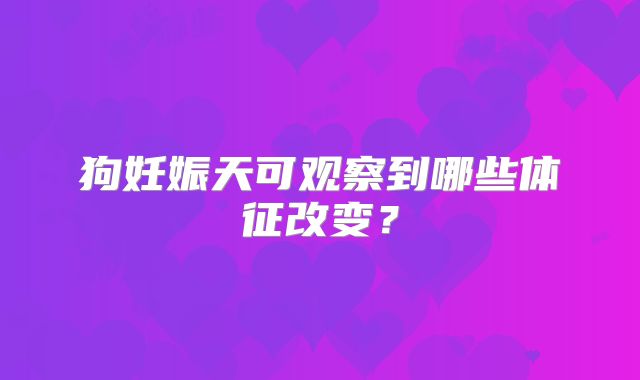 狗妊娠天可观察到哪些体征改变?