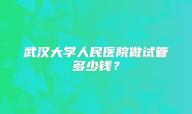 武汉大学人民医院做试管多少钱？