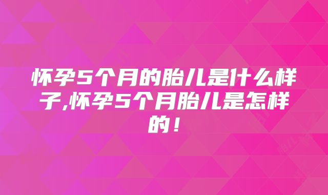 怀孕5个月的胎儿是什么样子,怀孕5个月胎儿是怎样的！