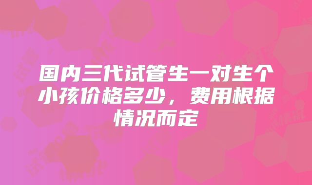 国内三代试管生一对生个小孩价格多少，费用根据情况而定