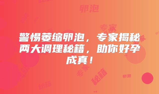 警惕萎缩卵泡,专家揭秘两大调理秘籍,助你好孕成真!