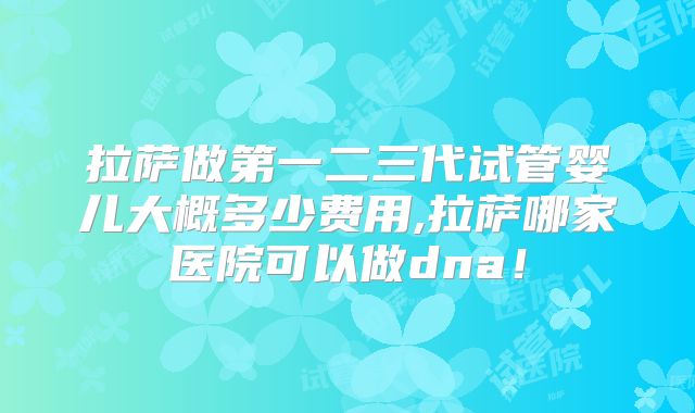 拉萨做第一二三代试管婴儿大概多少费用,拉萨哪家医院可以做dna!