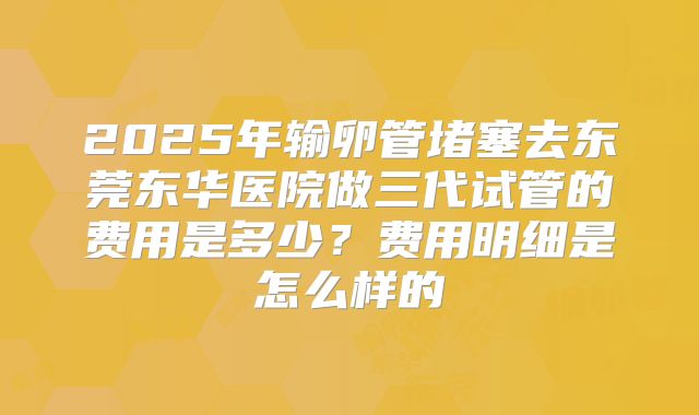 2025年输卵管堵塞去东莞东华医院做三代试管的费用是多少？费用明细是怎么样的