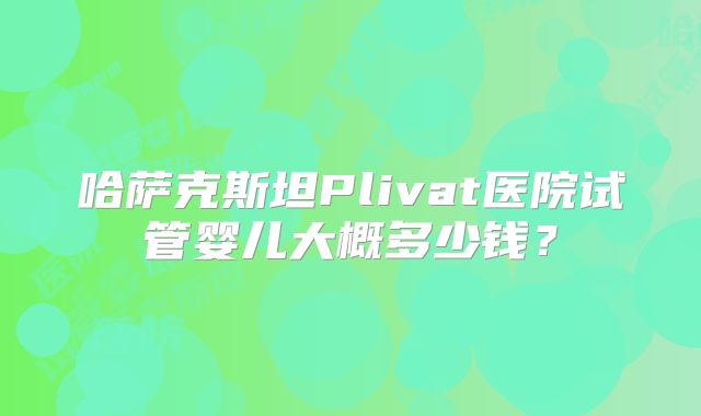 哈萨克斯坦Plivat医院试管婴儿大概多少钱？