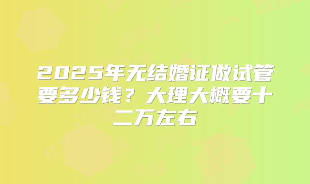 2025年无结婚证做试管要多少钱？大理大概要十二万左右