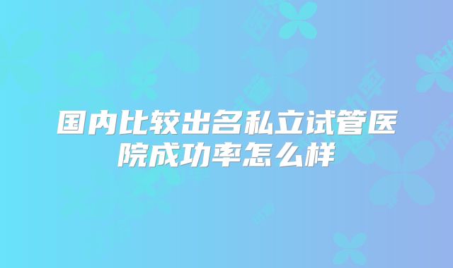 国内比较出名私立试管医院成功率怎么样