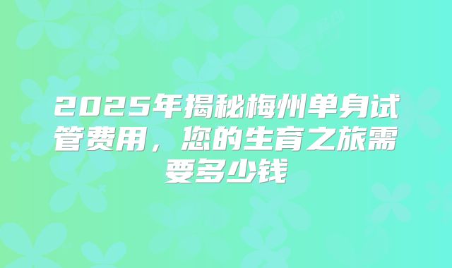 2025年揭秘梅州单身试管费用,您的生育之旅需要多少钱