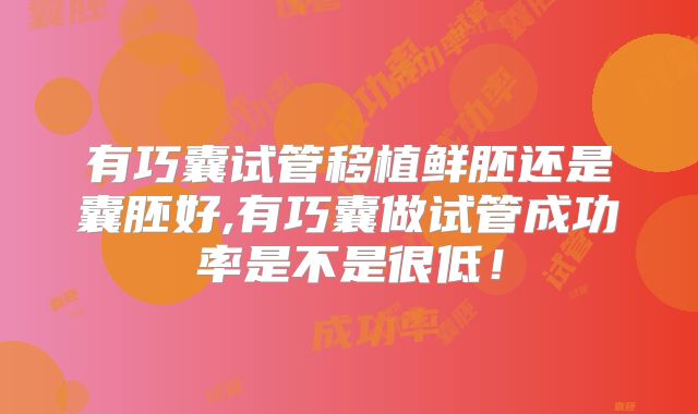 有巧囊试管移植鲜胚还是囊胚好,有巧囊做试管成功率是不是很低！