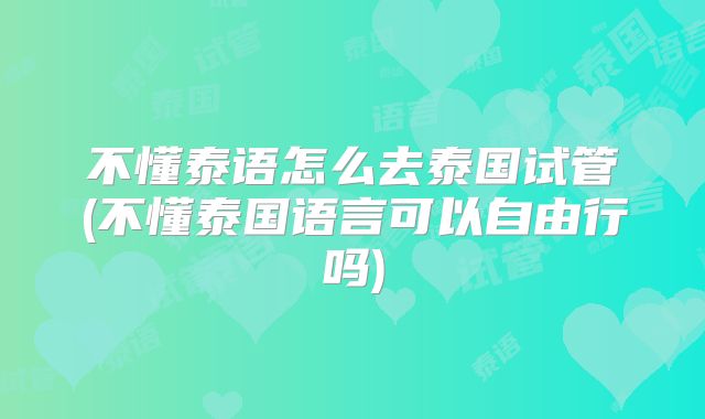 不懂泰语怎么去泰国试管(不懂泰国语言可以自由行吗)