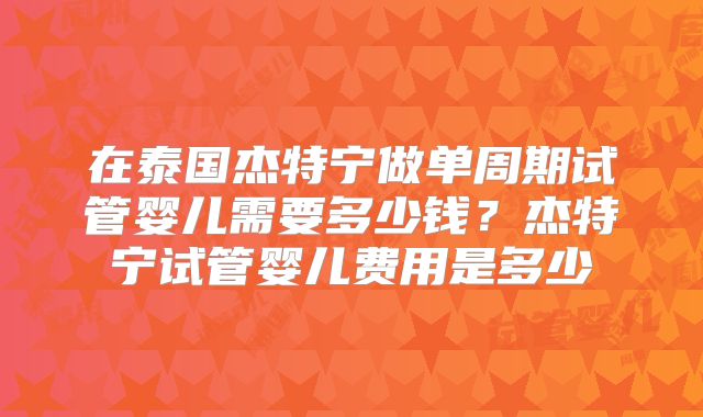 在泰国杰特宁做单周期试管婴儿需要多少钱?杰特宁试管婴儿费用是多少