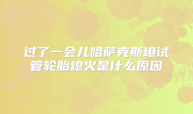 过了一会儿哈萨克斯坦试管轮胎熄火是什么原因