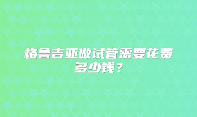 格鲁吉亚做试管需要花费多少钱？