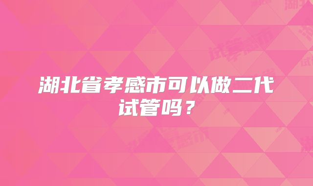 湖北省孝感市可以做二代试管吗?