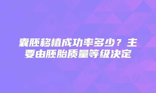 囊胚移植成功率多少?主要由胚胎质量等级决定