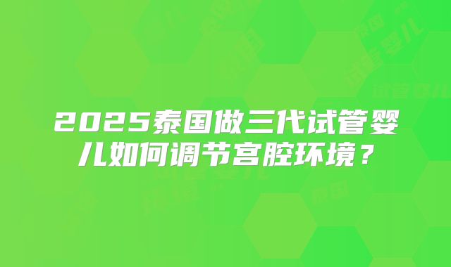 2025泰国做三代试管婴儿如何调节宫腔环境?