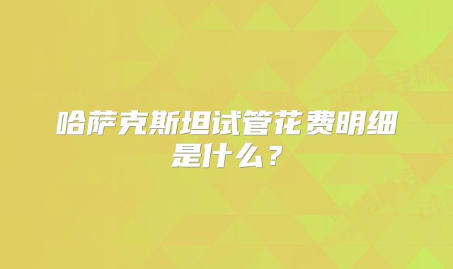 哈萨克斯坦试管花费明细是什么？