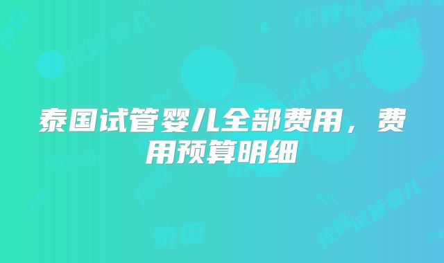 泰国试管婴儿全部费用，费用预算明细