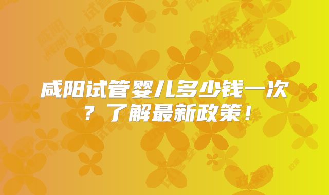 咸阳试管婴儿多少钱一次?了解最新政策!