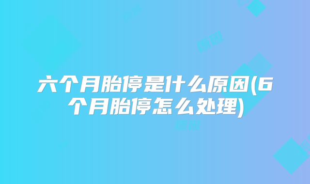 六个月胎停是什么原因(6个月胎停怎么处理)