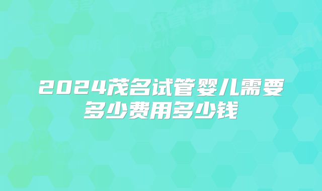 2024茂名试管婴儿需要多少费用多少钱