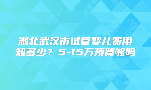 湖北武汉市试管婴儿费用知多少？5-15万预算够吗