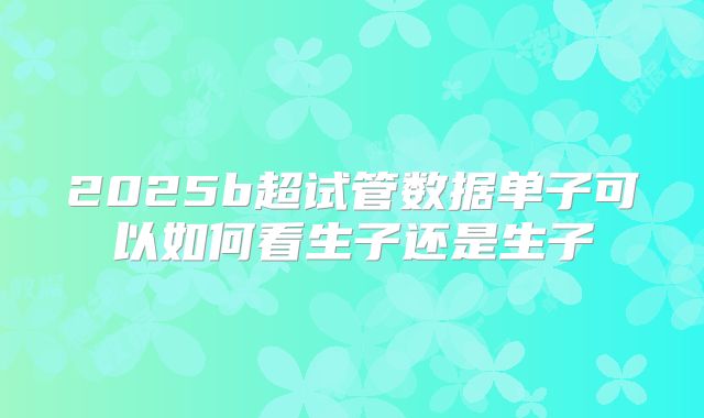 2025b超试管数据单子可以如何看生子还是生子
