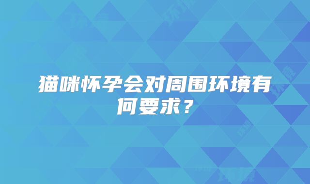 猫咪怀孕会对周围环境有何要求？