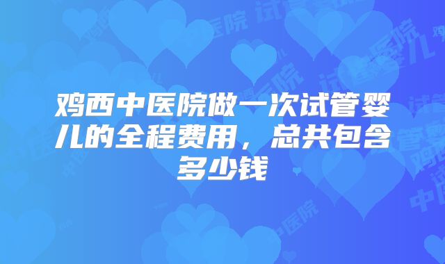 鸡西中医院做一次试管婴儿的全程费用，总共包含多少钱