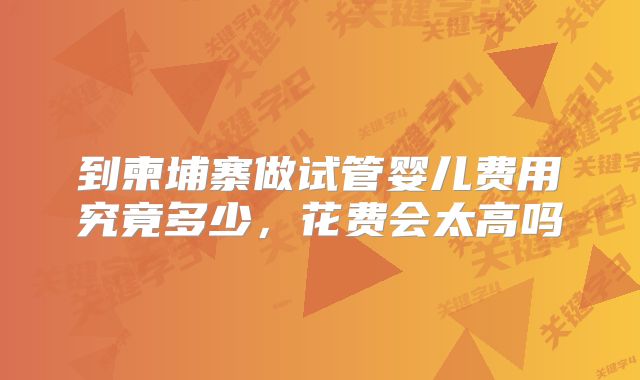 到柬埔寨做试管婴儿费用究竟多少，花费会太高吗