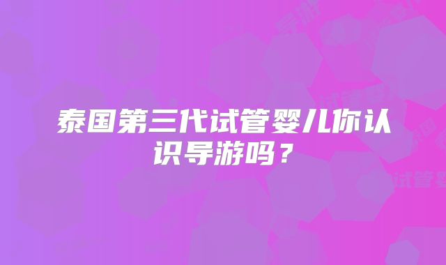 泰国第三代试管婴儿你认识导游吗？