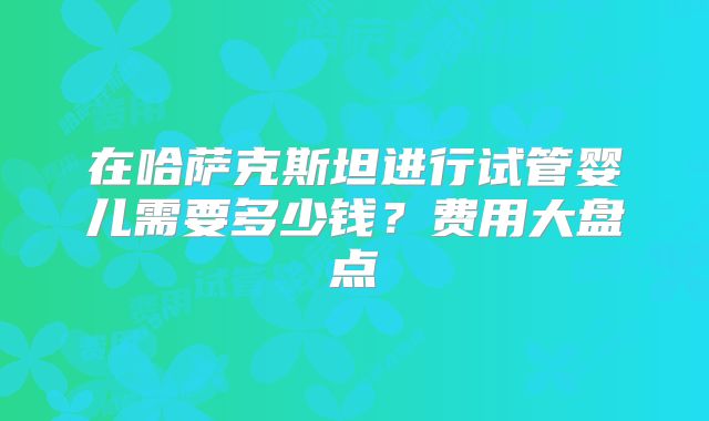 在哈萨克斯坦进行试管婴儿需要多少钱?费用大盘点