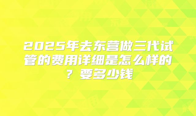 2025年去东营做三代试管的费用详细是怎么样的？要多少钱