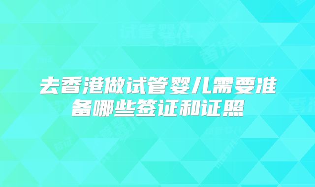 去香港做试管婴儿需要准备哪些签证和证照
