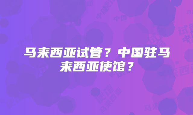 马来西亚试管？中国驻马来西亚使馆？