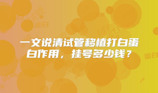 一文说清试管移植打白蛋白作用,挂号多少钱?