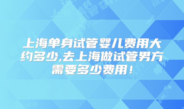 上海单身试管婴儿费用大约多少,去上海做试管男方需要多少费用！