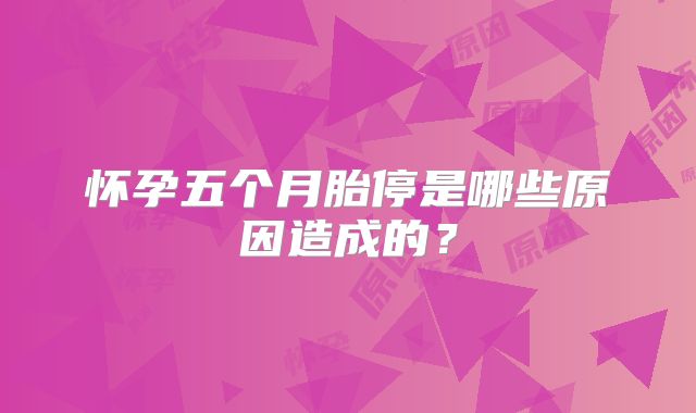 怀孕五个月胎停是哪些原因造成的？