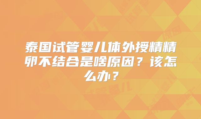泰国试管婴儿体外授精精卵不结合是啥原因？该怎么办？